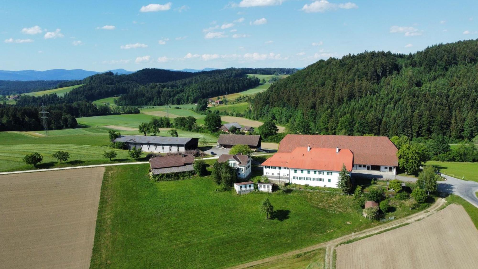 Berghof Erlebnis Ag Bed & Breakfast Pfaffnau Dış mekan fotoğraf